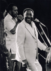 Muddy Waters